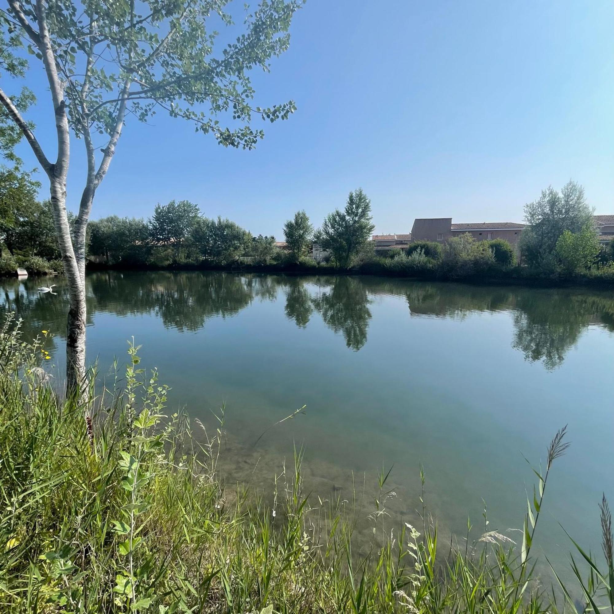 Maison Plain Pied Avec Climatisation Dans Une Residence Privee Avec Piscine Saint-Saturnin-lès-Avignon Exteriér fotografie